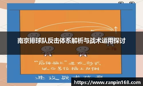 南京排球队反击体系解析与战术运用探讨