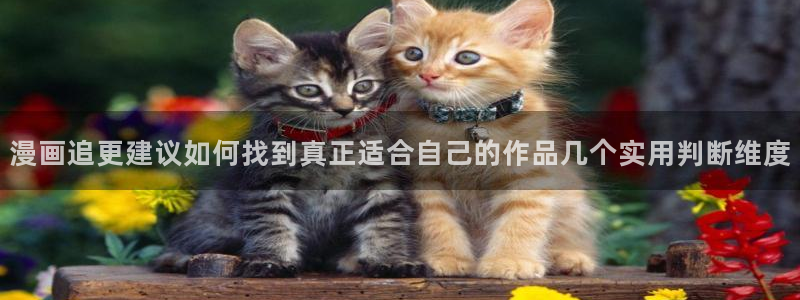 羞羞漫画最新入口